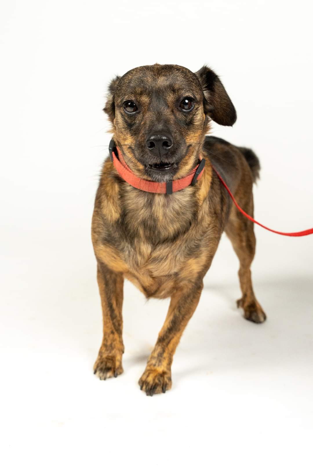 FB_IMG_1727107316078